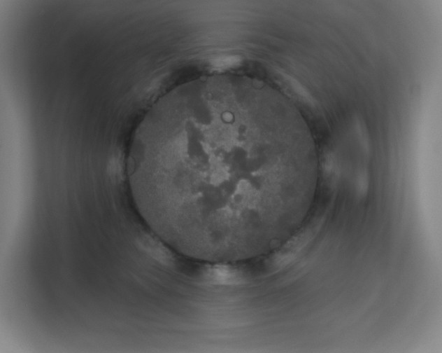 X0000111440565200907201131