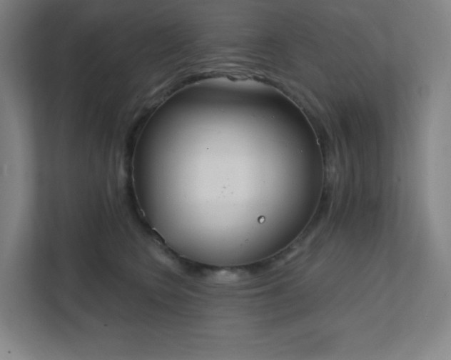 X0000111440566200907201131