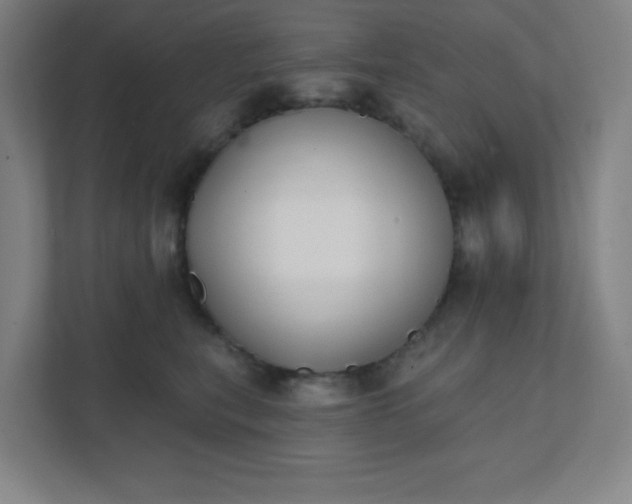 X0000111440567200907201131