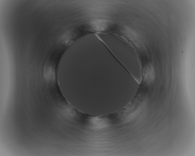 X0000111440568200907201131