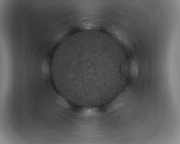 X0000111440569200907201131