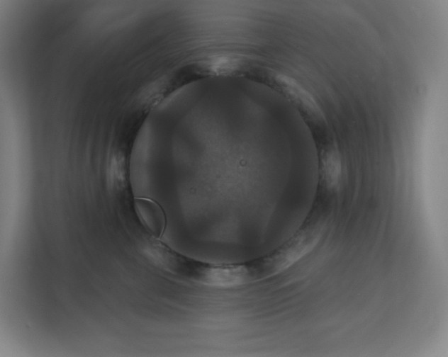 X0000111440571200907201131