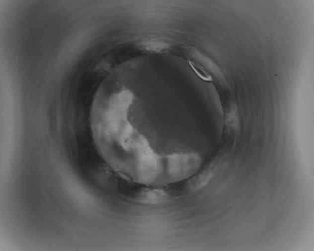 X0000111440572200907201131