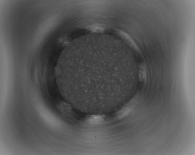 X0000111440573200907201131