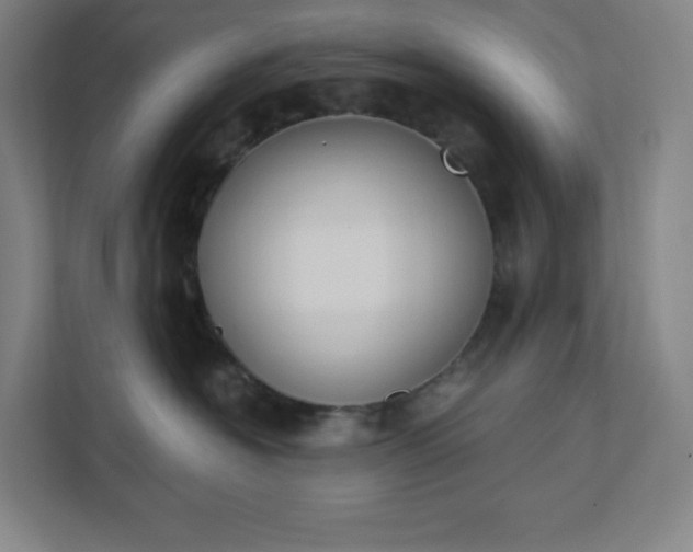 X0000111440574200907201131