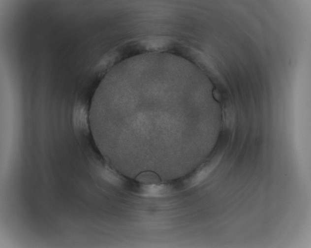 X0000111440575200907201131