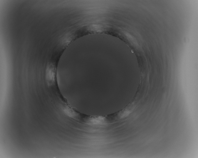 X0000111440576200907201131