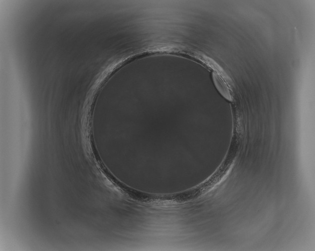 X0000111440577200907201130