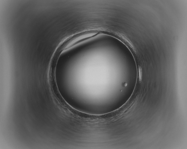 X0000111440579200907201130