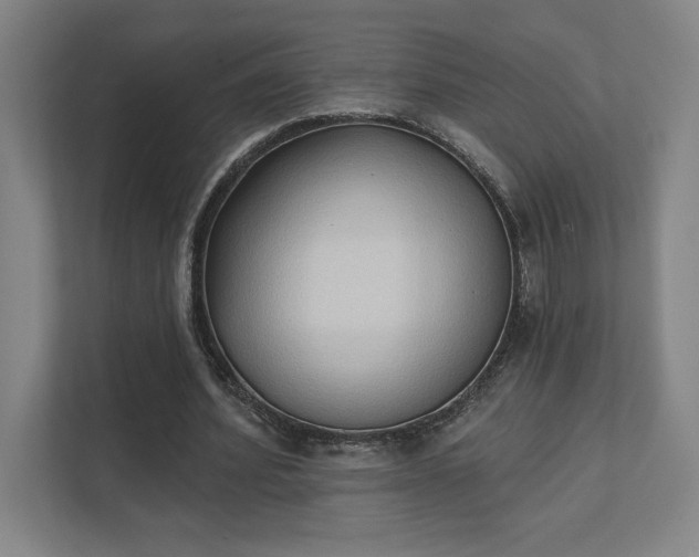 X0000111440580200907201130