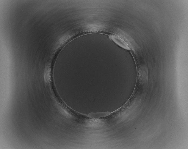 X0000111440581200907201130