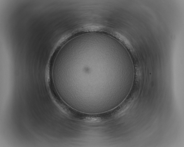 X0000111440582200907201130