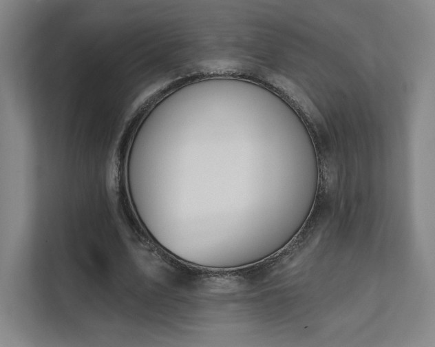 X0000111440583200907201130