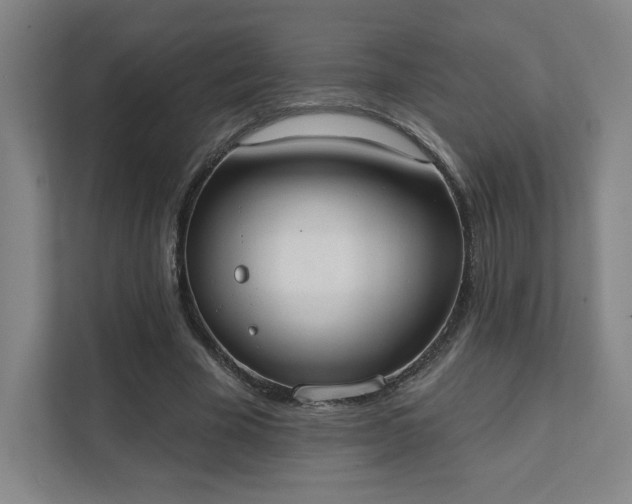 X0000111440585200907201130