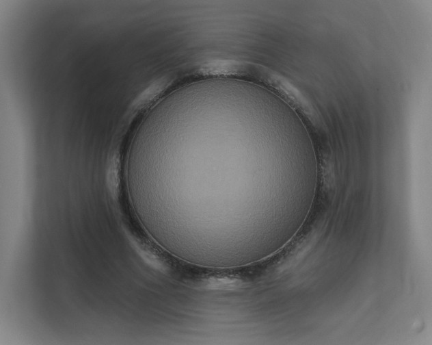 X0000111440586200907201130