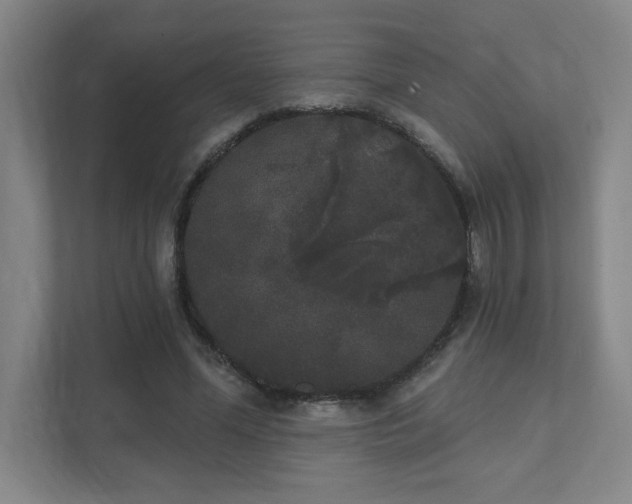 X0000111440588200907201130