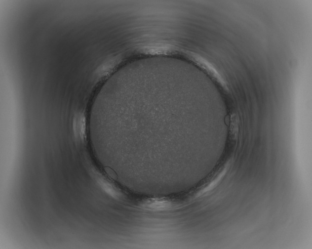 X0000111440589200907201130