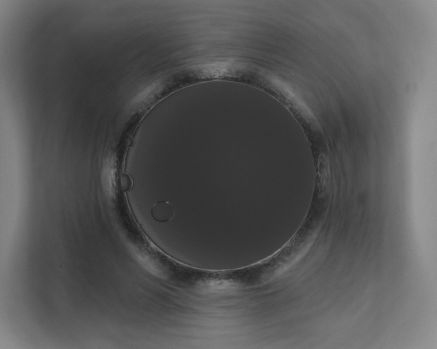 X0000111440590200907201130