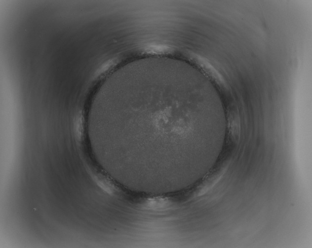 X0000111440591200907201130