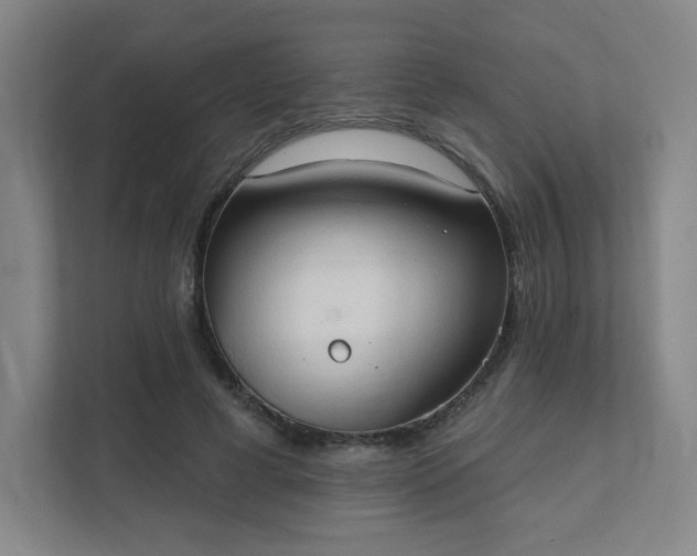 X0000111440593200907201130