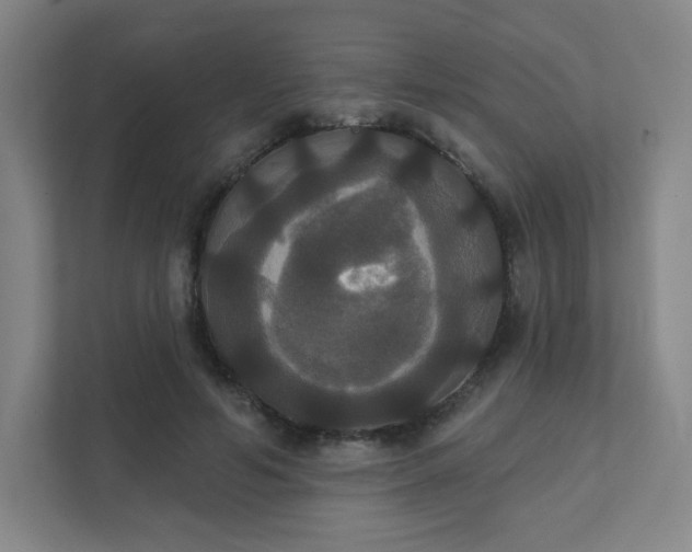 X0000111440594200907201130