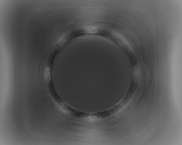 X0000111440598200907201130