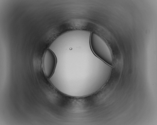 X0000111440599200907201130