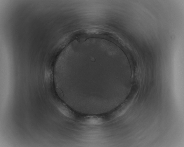 X0000111440601200907201130