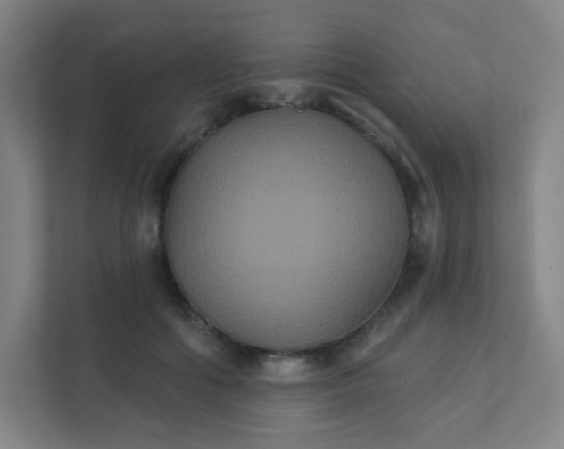 X0000111440602200907201130