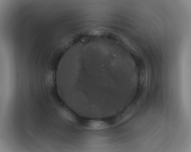 X0000111440605200907201130