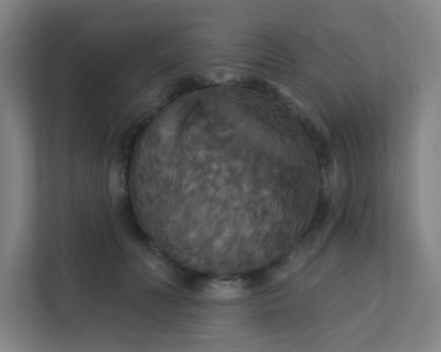 X0000111440606200907201130