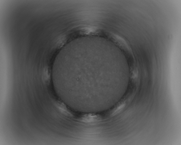 X0000111440607200907201130