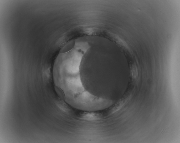 X0000111440611200907201130