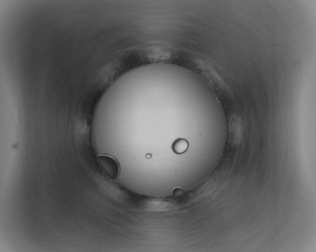 X0000111440614200907201130