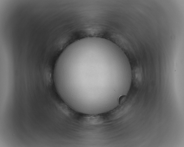 X0000111440615200907201130