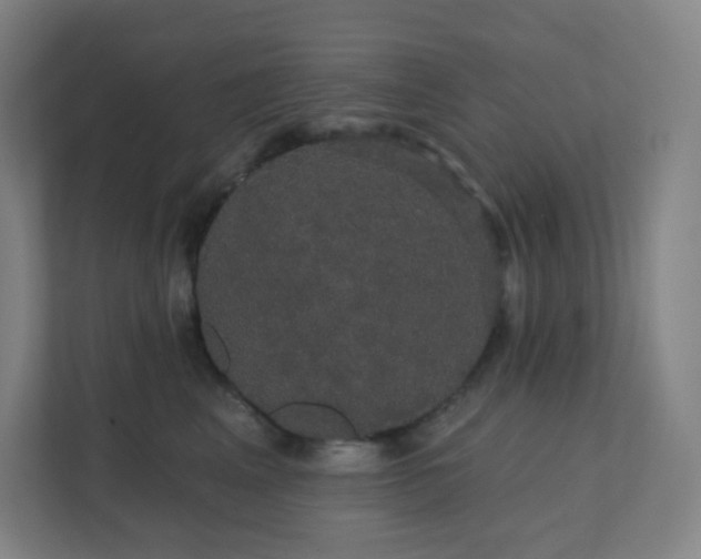 X0000111440617200907201130