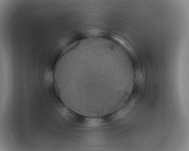 X0000111440621200907201130