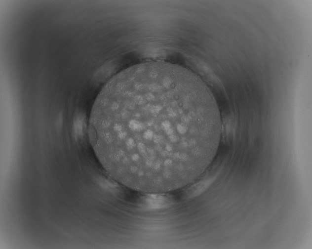 X0000111440623200907201130