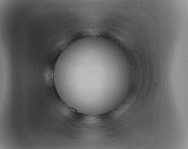 X0000111440624200907201130