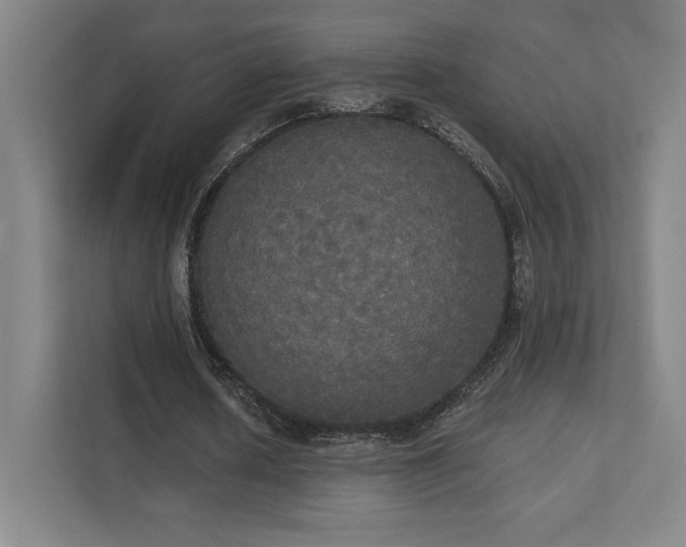 X0000111440626200907201129