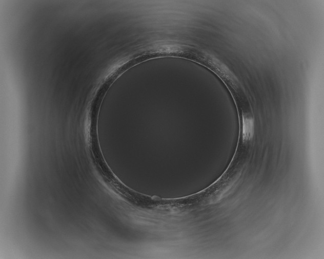 X0000111440627200907201129