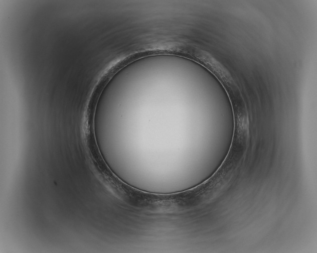 X0000111440628200907201129