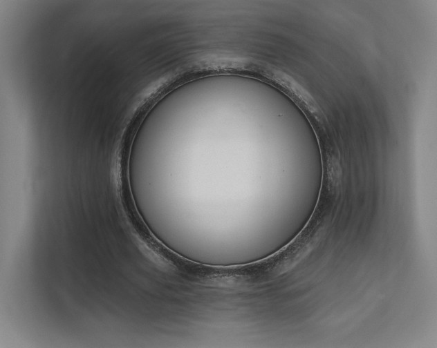 X0000111440629200907201129