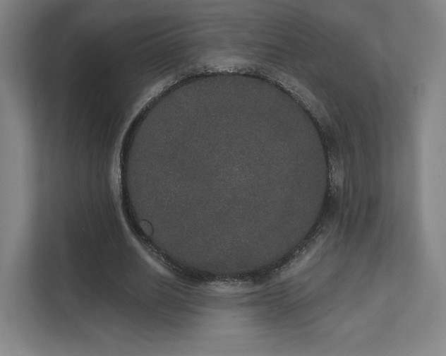 X0000111440630200907201129