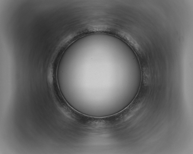 X0000111440631200907201129