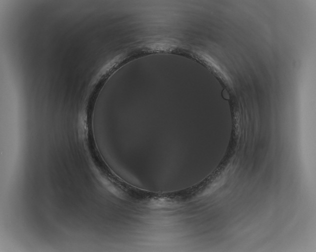 X0000111440634200907201129