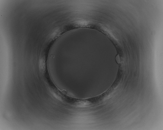 X0000111440642200907201129