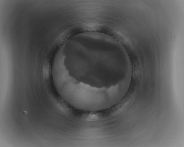 X0000111440647200907201129