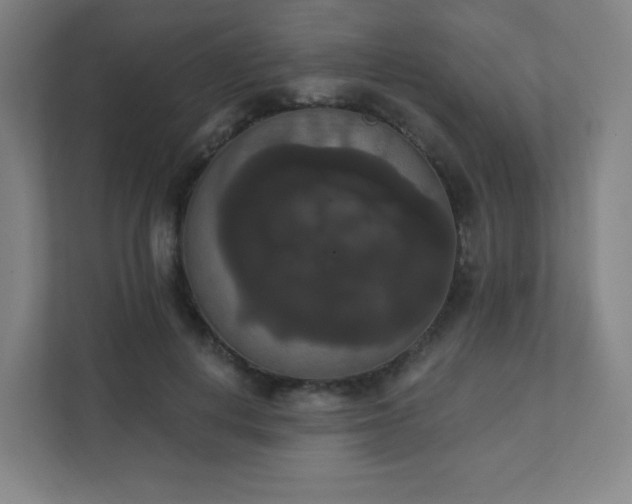 X0000111440648200907201129