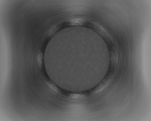 X0000111440649200907201129